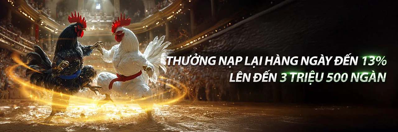 Tổng quan nền tảng ok88 win 2026